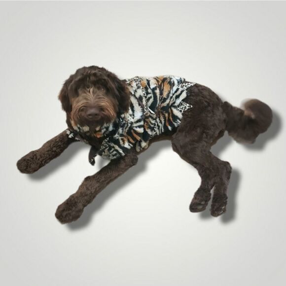 ciao ciao flintstone tiger dog costume Large - Picture 2 of 7